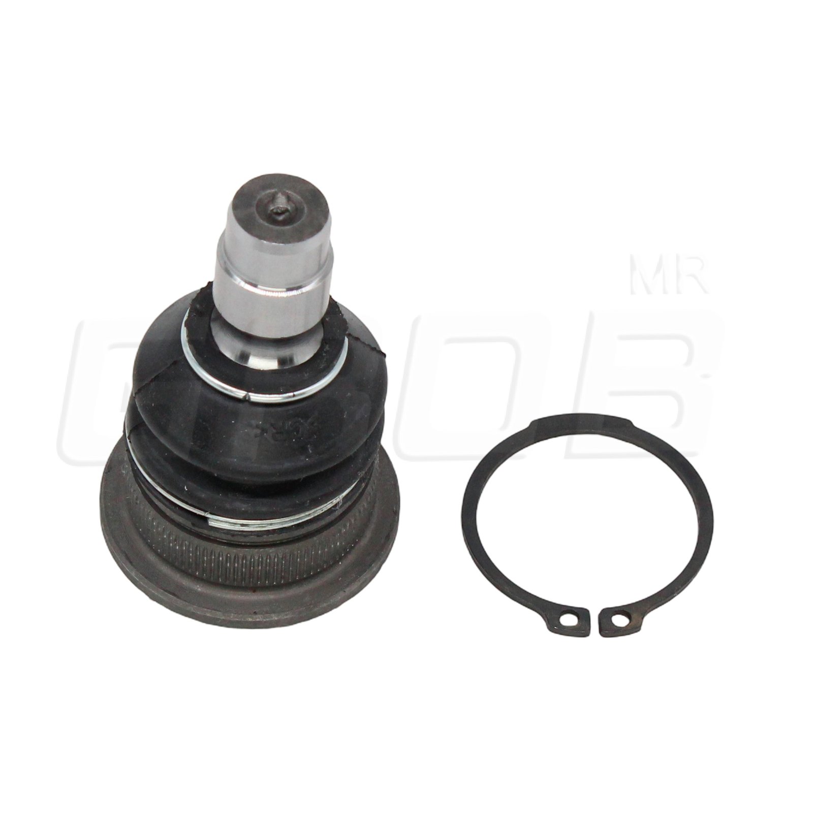 Rotula Inferior Fat 500 12-16