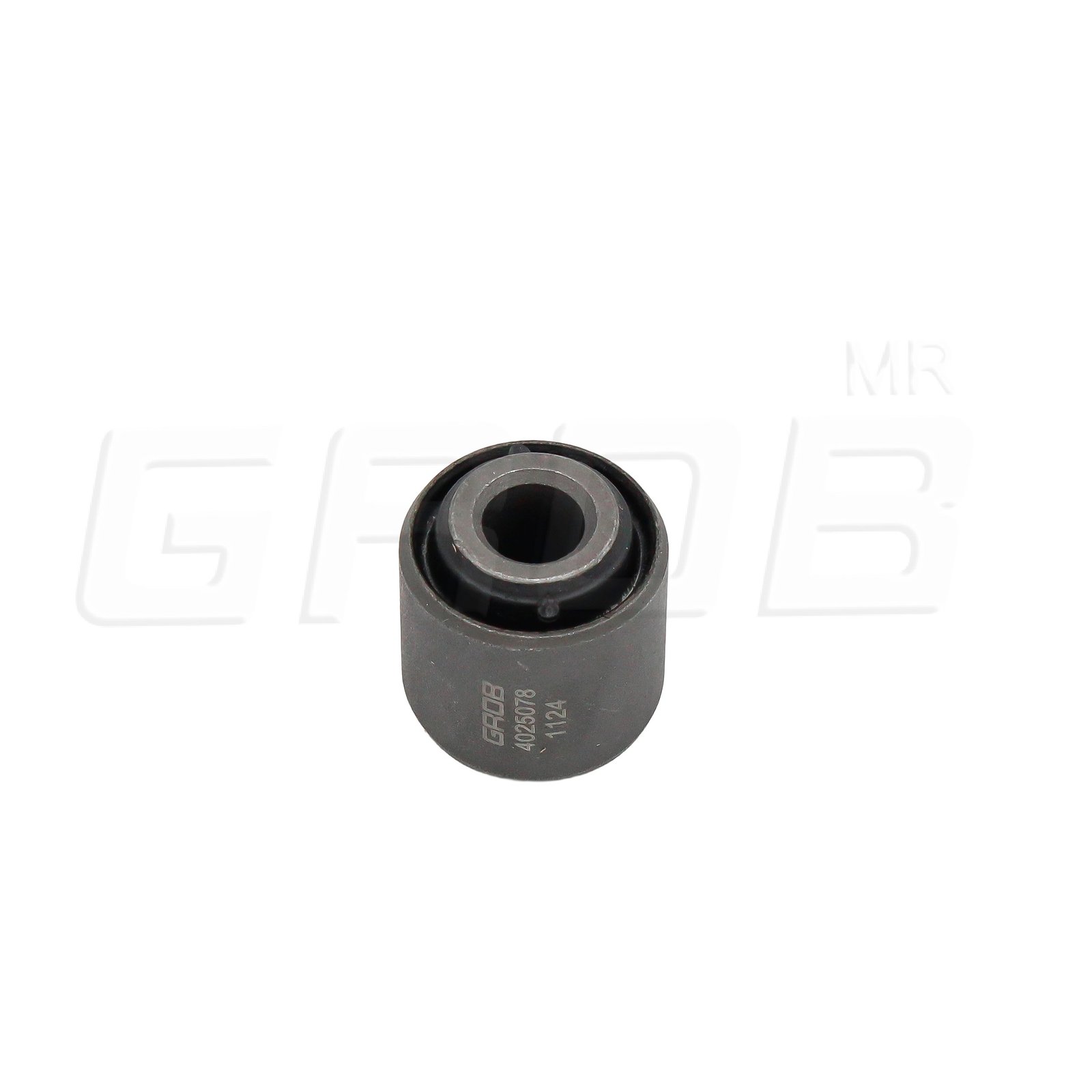 Buje Trasero Ford Focus 99-11