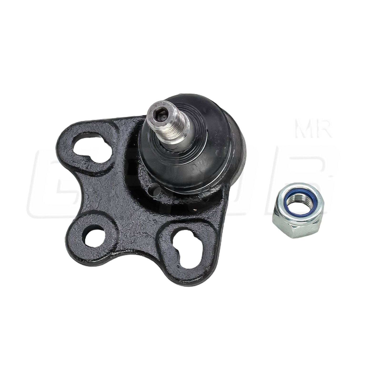 Rotula Inferior Clase B 06-11