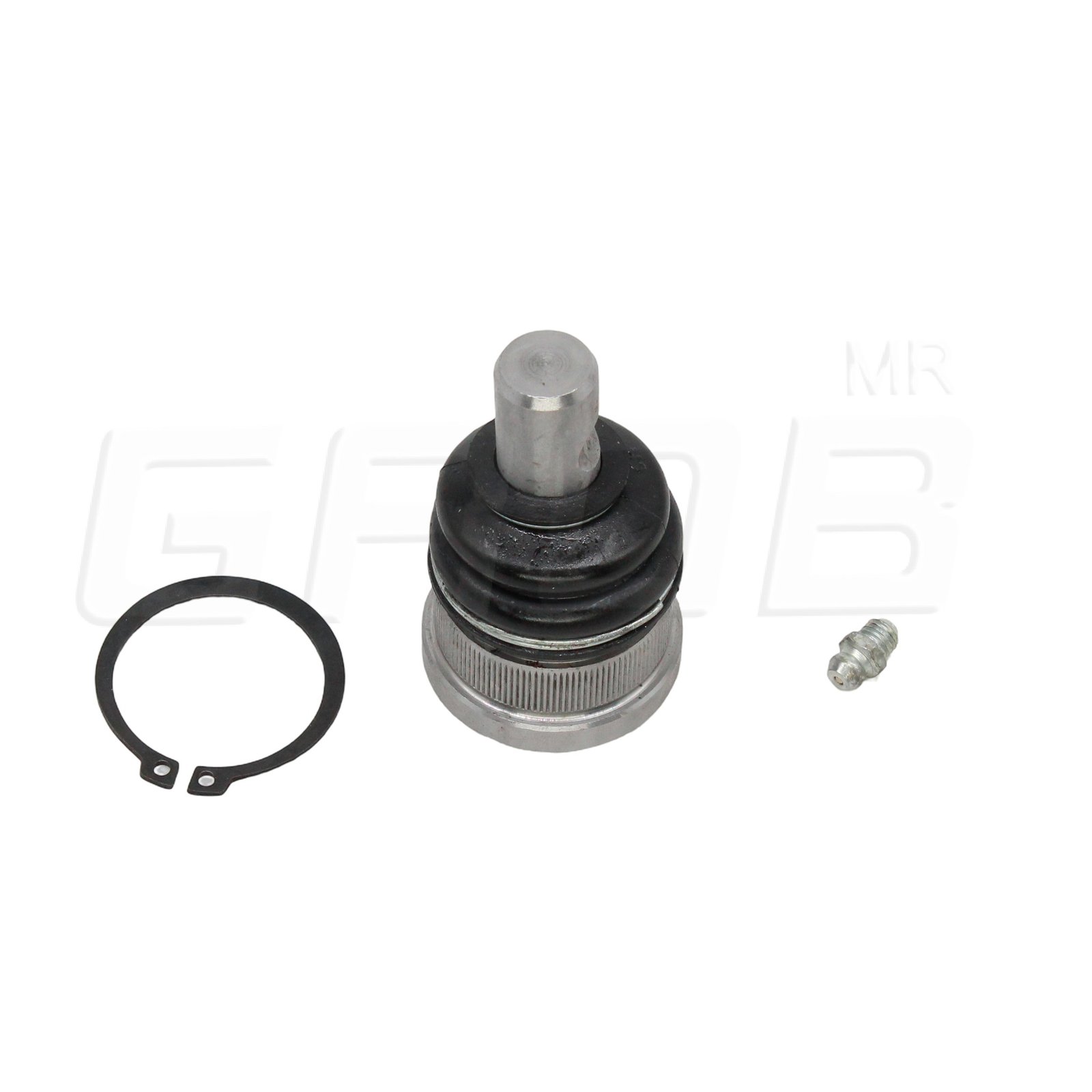 Rotula Inferior Linea K 82 83